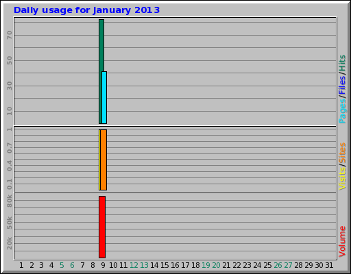 Daily usage for January 2013