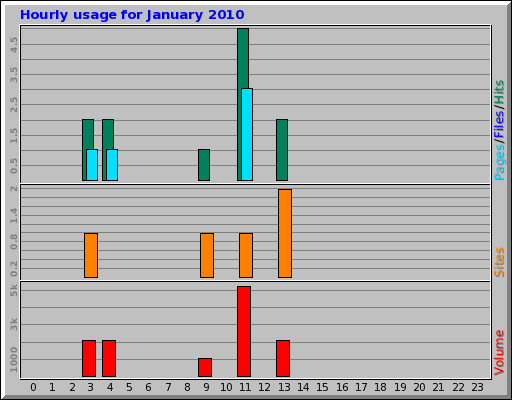 Hourly usage for January 2010