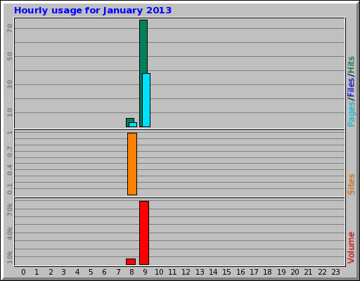 Hourly usage for January 2013